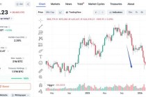 币价大跌不用慌？特朗普家族加密货币平台海湖庄园办大会，华尔街态度转向