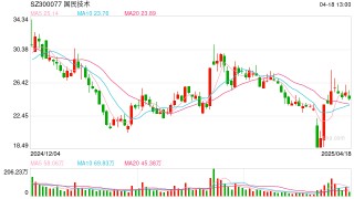 国民技术副总经理钟新利：AI技术将成国产MCU破局关键