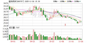 胜科纳米前三季度业绩稳步增长 将有序增设第四代产线的建设布局