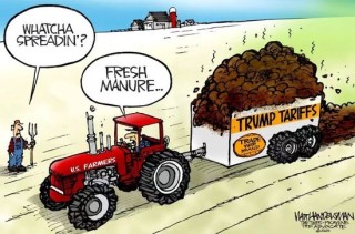 一觉醒来，世界大变，特朗普改新打法了