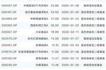 “固收+”基金规模快速扩张 个人投资者成申购新晋主力