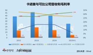 卡诺普“踩线”申报港股IPO：营收最低毛利率最高 海外占比下滑、高度依赖政府补贴