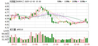 太阳能：每10股派发现金股利人民币 0.631238 元（含税）