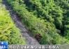 骑行游海南岛、品尝太空冰淇淋 今天逛逛消博会