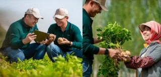 “食有味，饮开怀”：百事集团如何用六个字，让全球企业品牌说出中国味