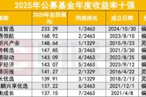 2025公募业绩放榜！233%冠军基创造历史，主动权益包揽前十，中小基金公司崛起