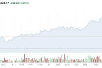 MSCI警告引发印尼股市30年来最大两日跌幅，印尼监管机构紧急应对