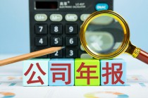 如何认识企业集团的业务领域？南通综艺集团主要从事什么业务？