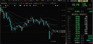 300460，公司及实控人被立案调查！