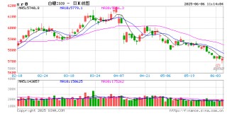 光大期货：6月6日软商品日报