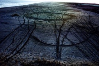 摄影师志贺理江子摘得首届梅原猛人类哲学奖