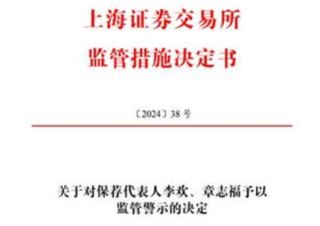 德硕科技IPO，保代曾遭监管警示，重大项目有没有虚假披露？