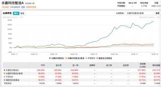 2025公募业绩放榜！233%冠军基创造历史，主动权益包揽前十，中小基金公司崛起