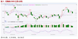 长安期货胡心阁：美国与巴西生柴政策加持，油脂下方空间或有限