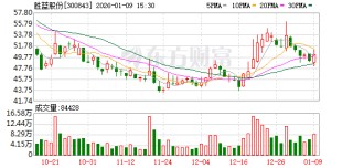 胜蓝股份：公司不存在逾期担保