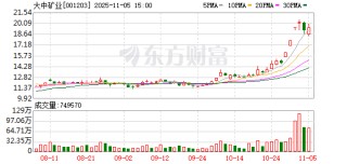 大中矿业：累计回购公司股份20324400股