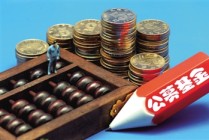 如何了解基金子公司产品的类型及特点？类型与特点对投资者有何影响？