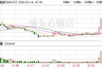 东湖高新涨停，沪股通龙虎榜上净买入1109.99万元