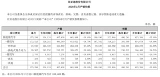 “卷王”比亚迪正遭遇“卷杀”