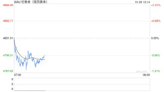 特朗普VS美联储理事，鲍威尔亲赴法庭，美元与黄金或面临重估