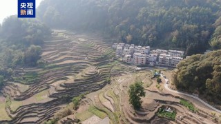 广西河池持续旱情影响7万亩农田 多部门紧急送水保民生