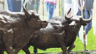 如何了解资本机构业务范围及运营模式？资本机构运营模式与业务范围有何关联？