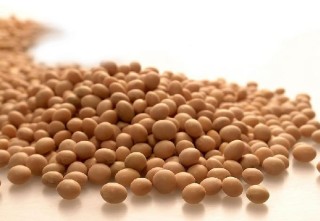 如何了解大豆到港成本？这种了解方法有哪些局限性？