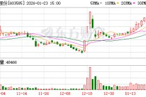 苏利股份：公司无逾期担保