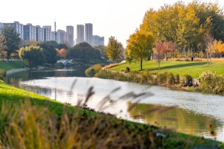 坝河“破茧”焕新，点亮城市滨水生活