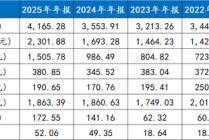 黄小薏出走后的华宝
