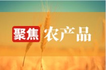如何分析农产品价格相关变动？猪肉价格变动有哪些因素？