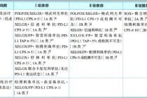 媲美K药？安科生物HuA21临床数据读出，HER2阳性胃癌一线治疗迎来国产强敌 | 新药价值解码