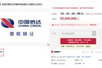 深圳雅美宝8597万债权5500万元起拍