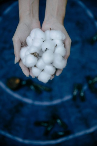 纯碱期货属于哪一类商品？这种商品的市场表现如何？
