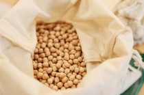 如何深入研究特定期货品种？沥青期货研究方向有哪些？