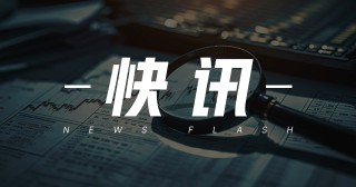 纯电大三排SUV：11月销4.6万台，连续三月居首