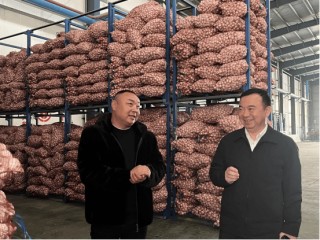 平安融易“棱镜”项目助力金乡大蒜产业高质量发展