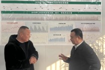 平安融易“棱镜”项目助力金乡大蒜产业高质量发展