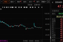 芯片重大资产重组 ，突然终止，此前8个“20cm”涨停！南向资金大幅加仓，环比增长超74%