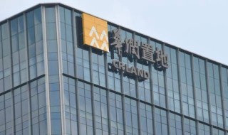 2024年成绩单曝光，保利、中海、华润三家谁强谁弱？