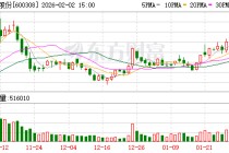 华泰股份：公司子公司东营华泰化工集团具备年产8万吨环氧丙烷的能力