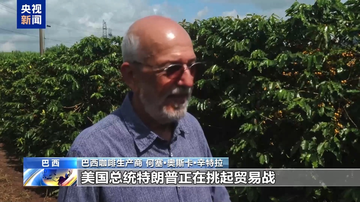 美关税新政推高巴西咖啡成本 行业人士称贸易战无赢家  第2张