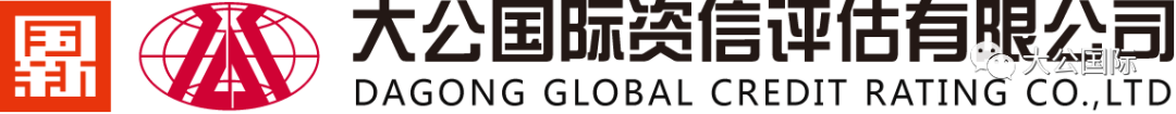 大公国际：四家国有大行集中定增体现中央政府强有力的支持  第8张