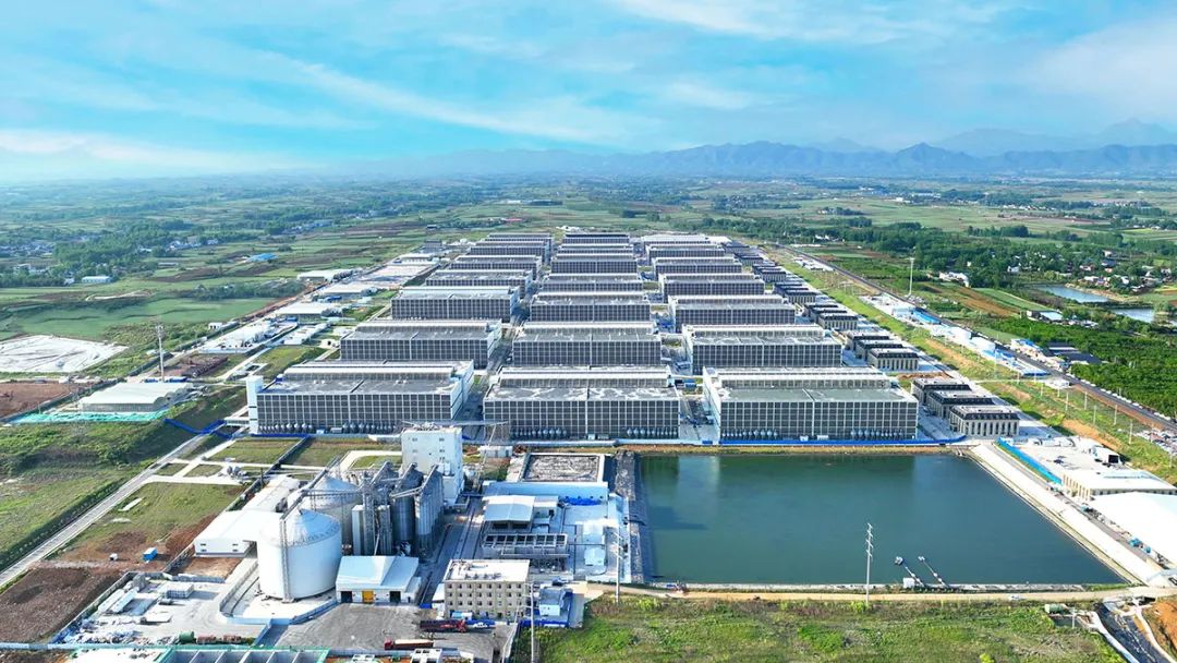 河南养猪巨头，3个月净赚超40亿  第3张