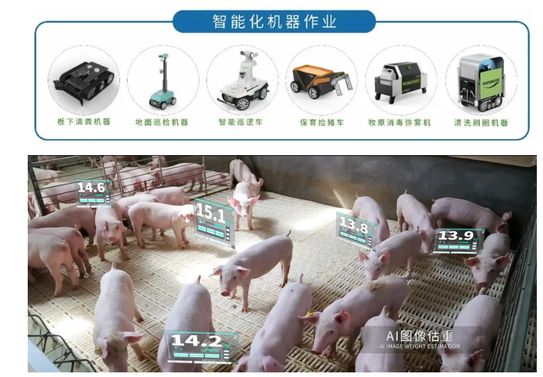 河南养猪巨头，3个月净赚超40亿  第6张