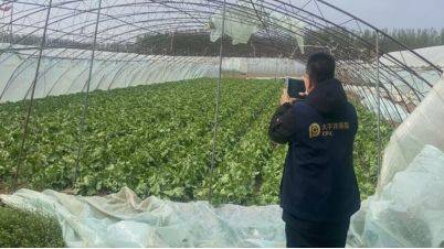 极端大风中,中国太保两小时完成首笔赔付 第2张 极端大风中,中国太保两小时完成首笔赔付 第2张