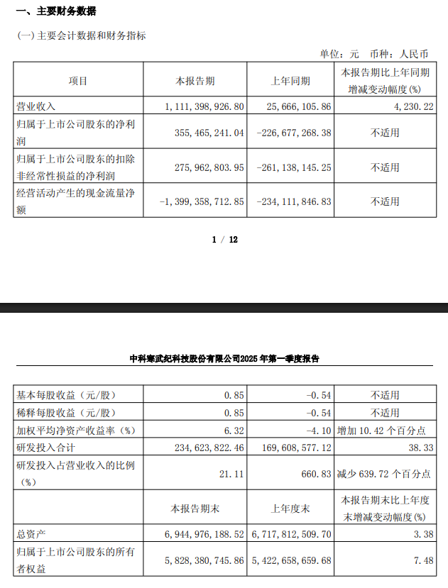 寒武纪 2025 年第一季度营收 11.11 亿元同比增长 4230.22%，实现扭亏为盈  第1张