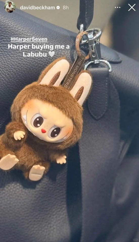 现象级曝光！蕾哈娜、贝克汉姆等明星纷纷“带货”！Labubu冲破关税打压，在美国卖断货→  第4张