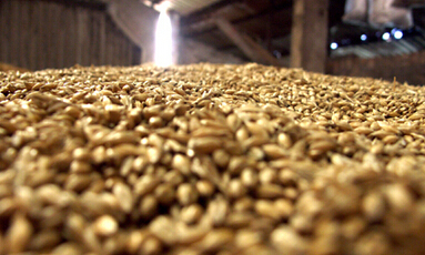 如何学习豆粕期权知识?豆粕期权是什么样的产品? 第1张 如何学习豆粕期权知识?豆粕期权是什么样的产品? 第1张