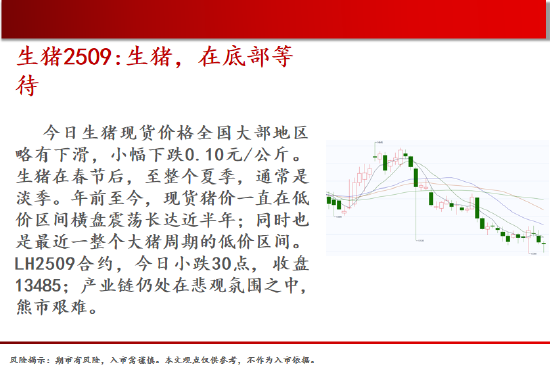 中天期货:螺纹减仓反弹 玻璃低位反弹  第4张